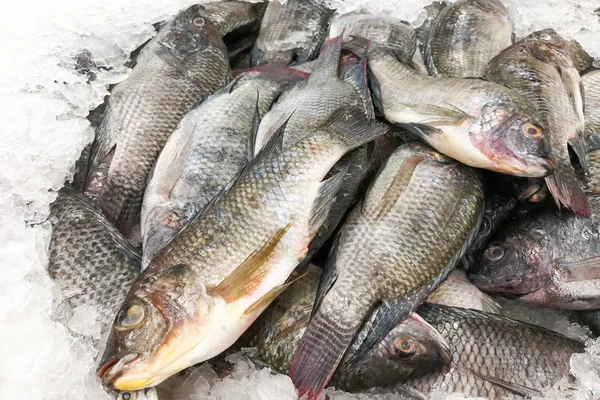 市場の販売のための氷の上の黒いティラピア鯛魚 — ストック写真