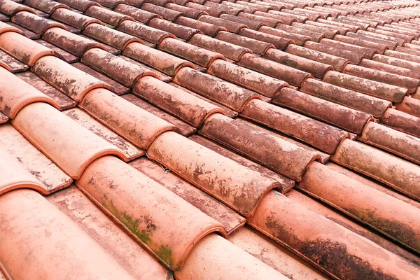 Close-up on moldy roof tiles in humid tropical climate
