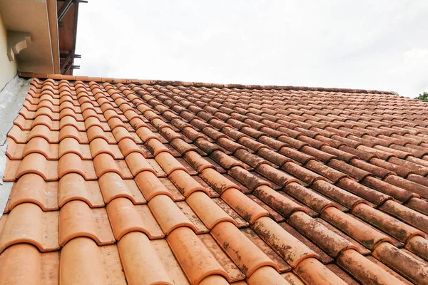Moldy roof tiles in humid tropical climate