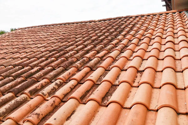 高温多湿の熱帯性気候でカビの生えた屋根瓦 — ストック写真