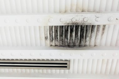 Hijyenik ve çirkin küflü alçı tavan sızıntı dampnes nedeniyle