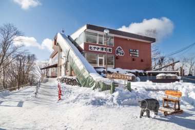 Noboribetsu, Japonya, 27 Ocak 2018: P Noboribetsu ayı parkı olan