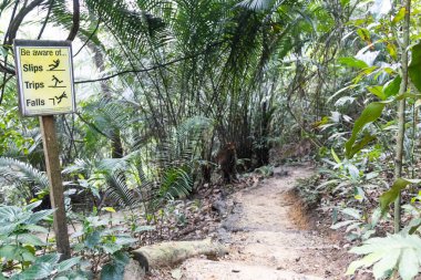 Kayıp düşme, gezintiler, tropikal ormanlara düşme uyarısı