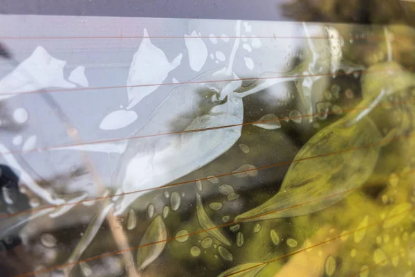 Bolsillo de burbujas de primer plano en pantalla de película de tinte de calidad inferior —  Fotos de Stock