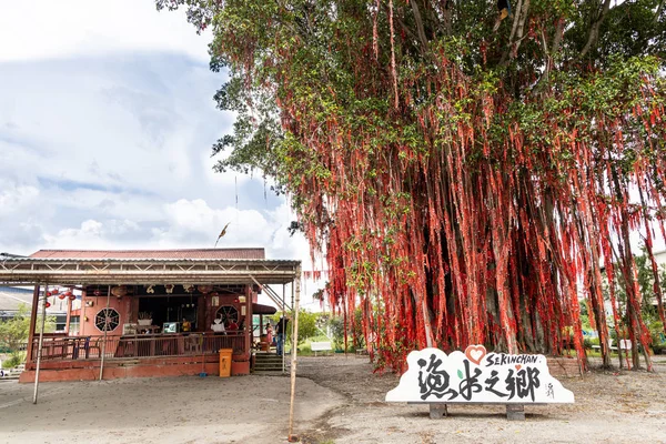 Sekinchan, Malaysia, 16 februari 2020: Sekinchan önskar eller hoppas träd i Pantai Redang. Troende kastar band knutna med mynt på trädet för lycka till. Kinesiska tecken översatt till Sekinchan. — Stockfoto