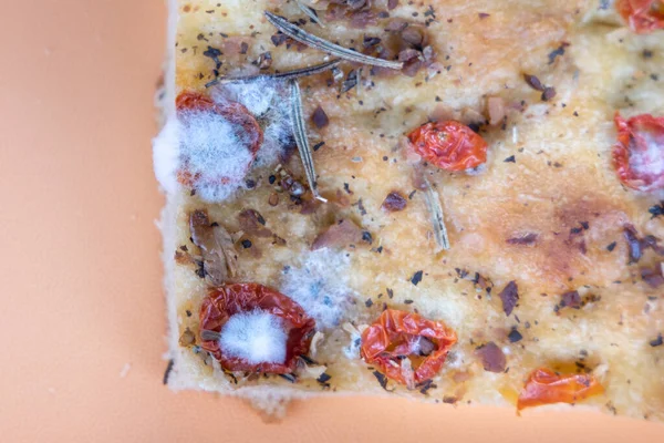 Close-up of mold develop on expired focaccia bread in container