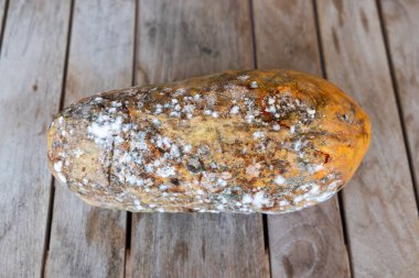 Ahşap masada küflü ve mantarlı çürümüş ve çürümüş papaya.