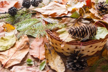 ahşap bir arka plan üzerinde bir sepet içinde kuru yaprakları