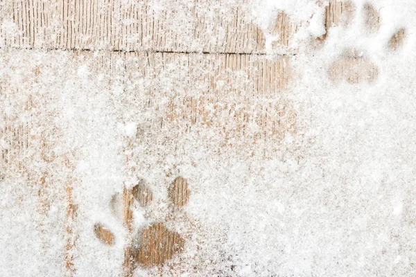 cat footprints on the wooden background with snow