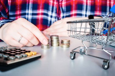 Kız hesap makinesi ve market arabası konseptinin yanında para sayıyor yoksulluk, alışveriş, vergiler