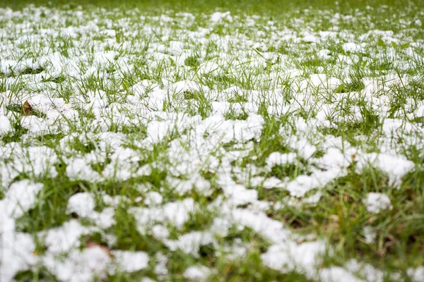 Hierba verde bajo la nieve en verano — Foto de Stock