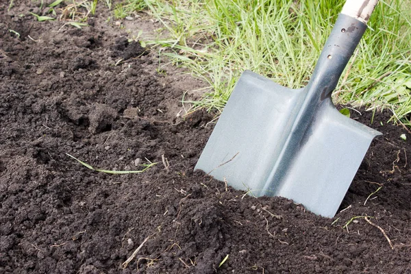 A cavar a pá. Tratamento do solo . — Fotografia de Stock
