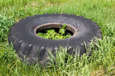 Yeşil çim otomobil lastik