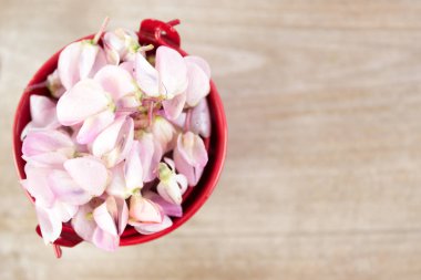 Ahşap arka plan üzerinde acı bakla çiçekler