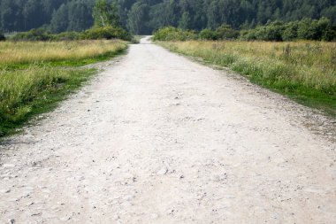 Toprak yol yeşil çim
