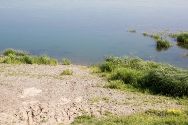 Çim suda bir görünümünü