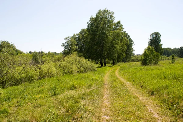 Estrada de terra na grama verde — Fotografia de Stock