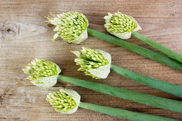 Sekumpulan bawang hijau dengan biji di atas meja — Stok Foto