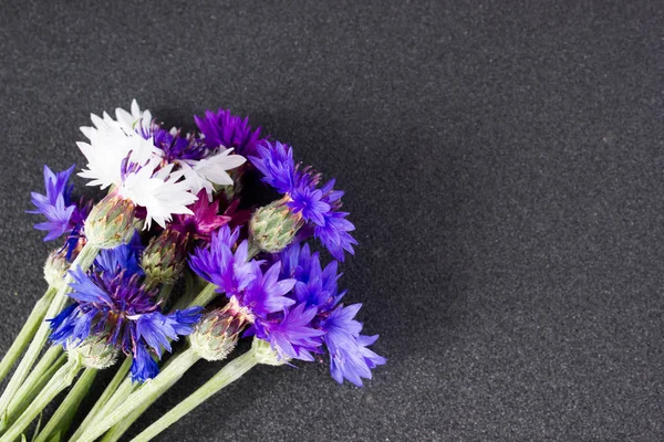 Bouquet of cornflowers. The view from the top. — Stock Photo, Image