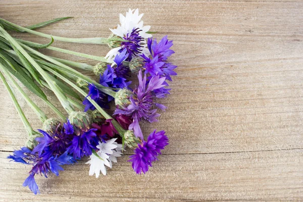 Bouquet of cornflowers. The view from the top. — Stock Photo, Image