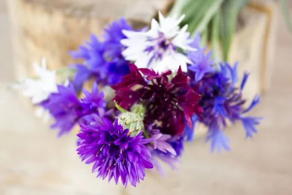 Bouquet of cornflowers. The view from the top. — Stock Photo, Image