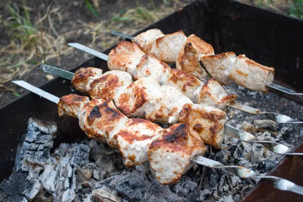 Shish kebab op de grill. BBQ — Stockfoto