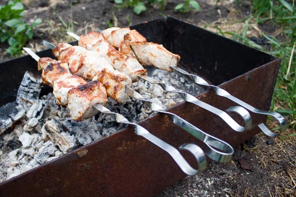 Shish kebab op de grill. BBQ — Stockfoto