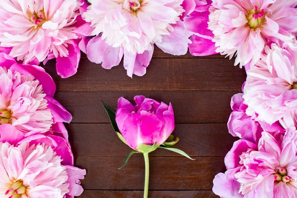 Pink flowers of peonies on wooden table — Stock Photo, Image