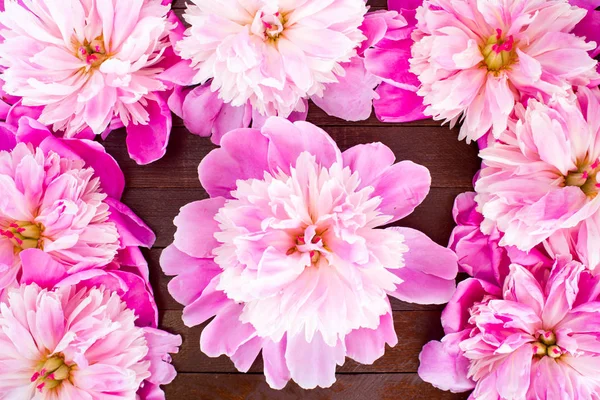 Pink flowers of peonies on wooden table — Stock Photo, Image