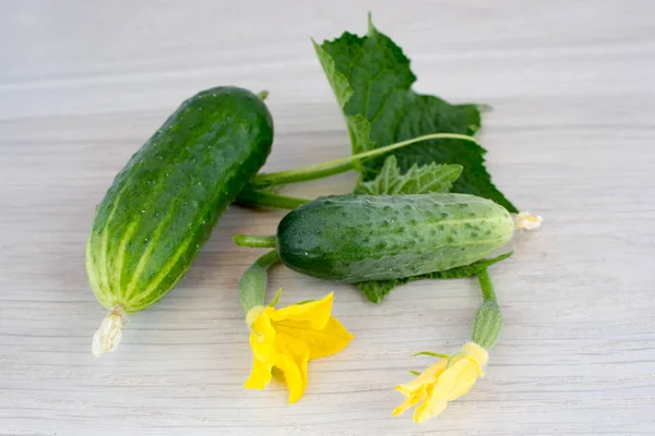 Concombres, feuilles et fleurs sur une table en bois — Photo