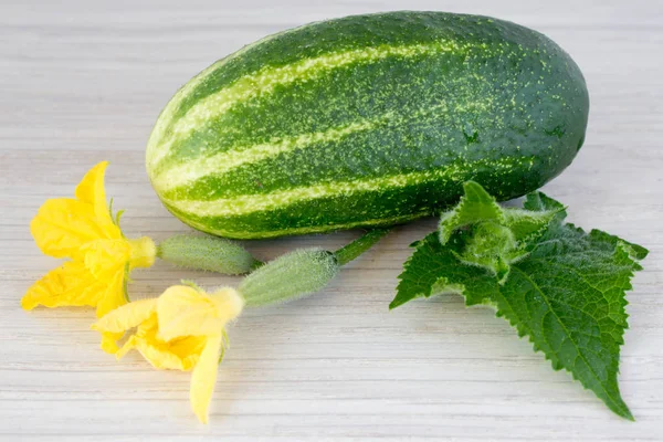 Concombres, feuilles et fleurs sur une table en bois — Photo