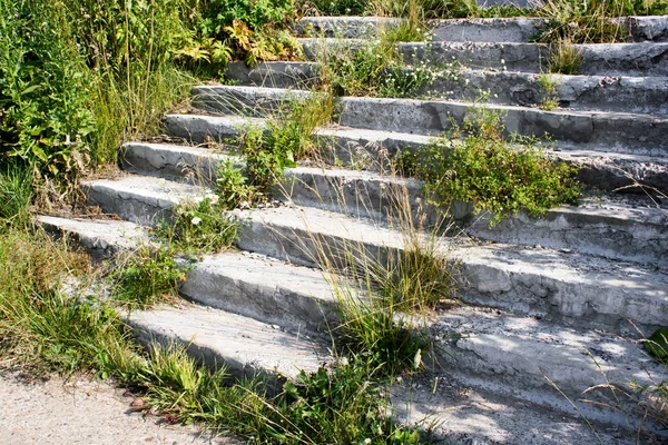 Uma escada de concreto com grama brotada — Fotografia de Stock