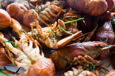 Haşlanmış kırmızı kerevit. Ulusal mutfağı