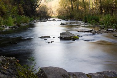 Taşlarla ormandaki nehir. İpek su.