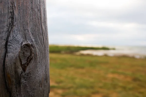 Montón de madera en el paseo marítimo — Foto de Stock