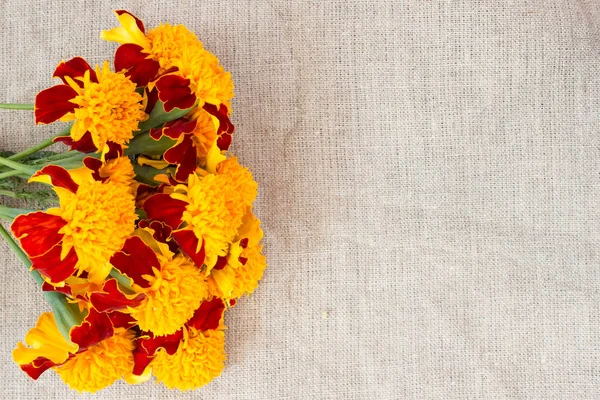 Flowers marigolds on sackcloth — Stock Photo, Image
