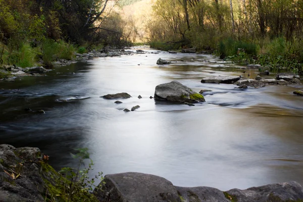 Taşlarla ormandaki nehir. İpek su.