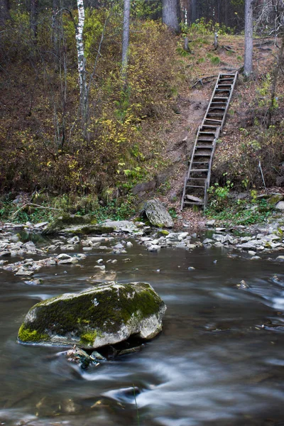 Річка в лісі з камінням. Шовкова вода . — стокове фото