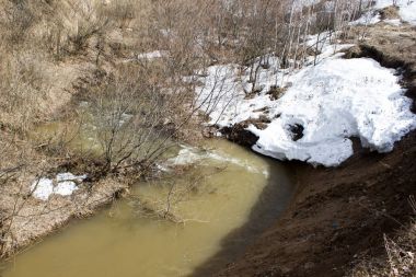 Bahar brook bir huş ağacı ormanda