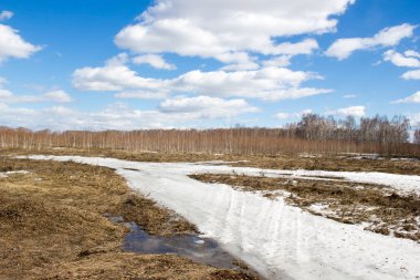 Bahar alanında kar altında yol