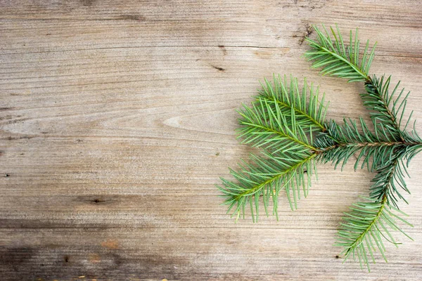 Spruce branches on a wooden table — Stock Photo, Image