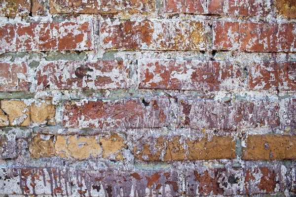 Eski bir tuğla duvar yok