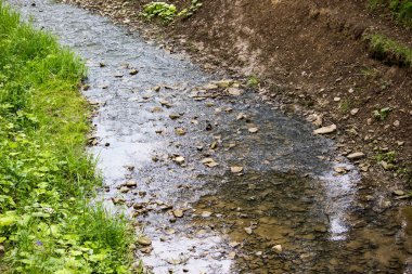 Bir yaz ormandaki küçük nehir