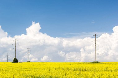 Kolza tohumu alan Cumulus bulutları gün güneşli yaz altında