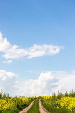 Kırsal toprak yol bulutlar ile mavi gökyüzü altında