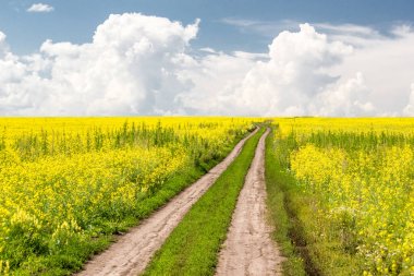 Kırsal toprak yol bulutlar ile mavi gökyüzü altında
