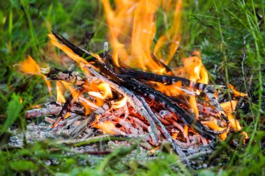 Yeşil çim yangında. Ormanda bir yangın. Doğa mangalda, piknik.