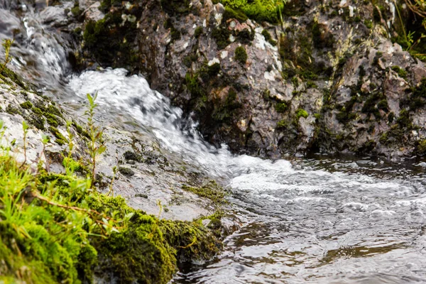 Гірській Річці Зеленими Рослинами Березі — стокове фото
