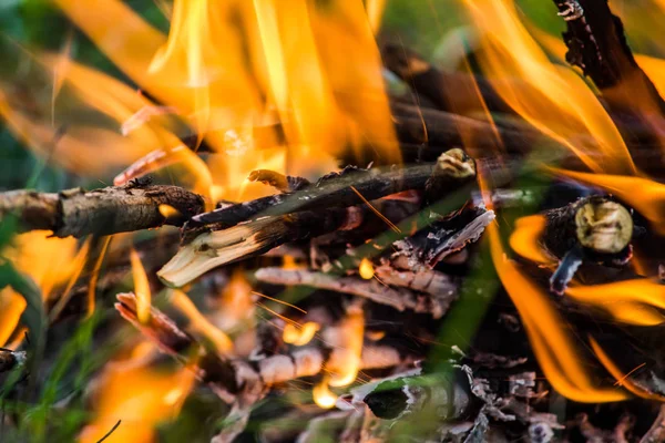 绿草里的火 树林里的大火烧烤在自然 — 图库照片