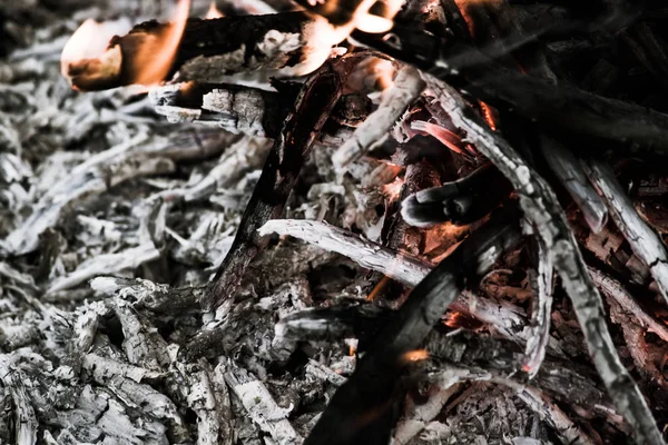 Embers of a burnt-out fire. A fire in the woods, barbecue.